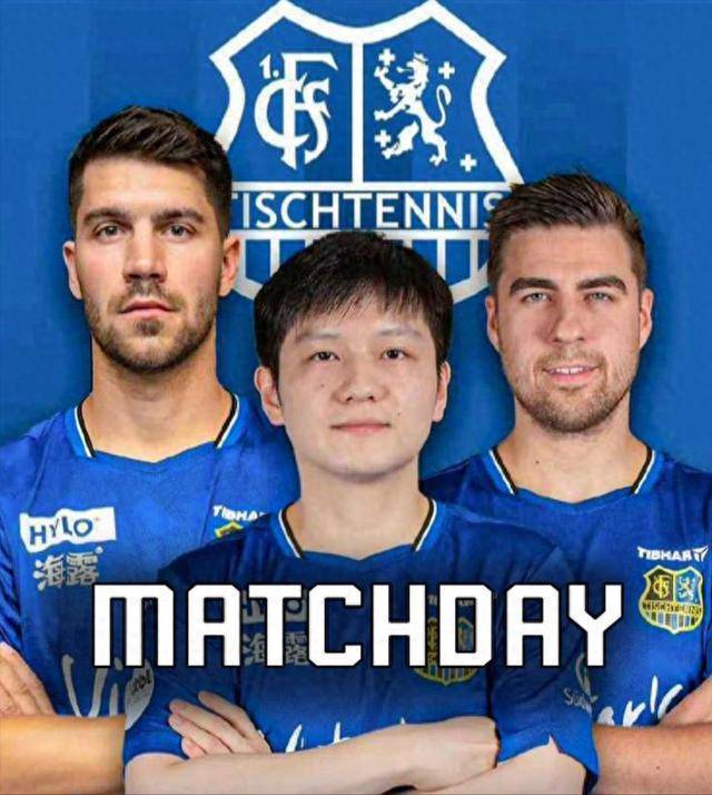 但这只顽固 但这只顽固