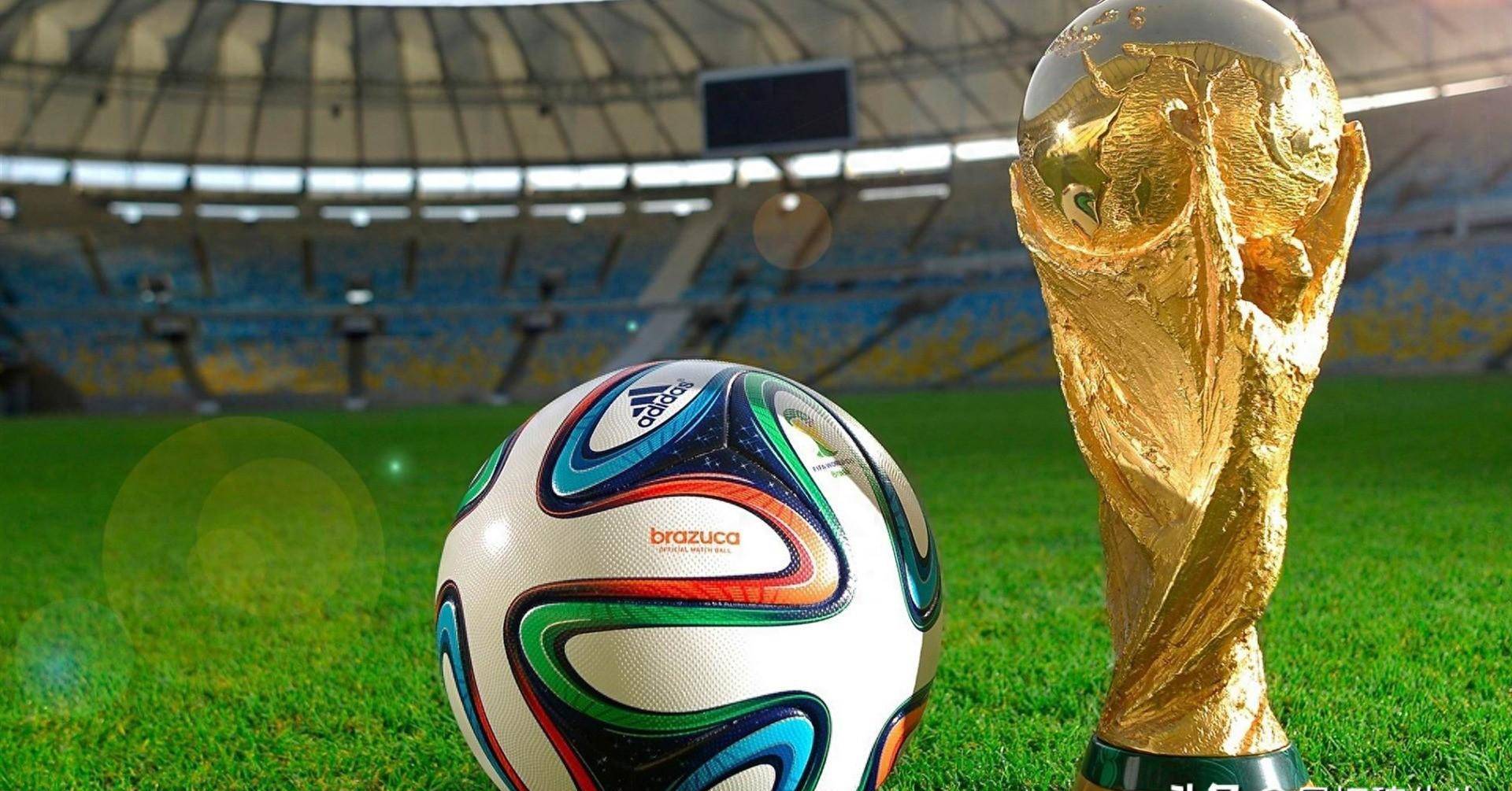 但始终没能 但始终没能