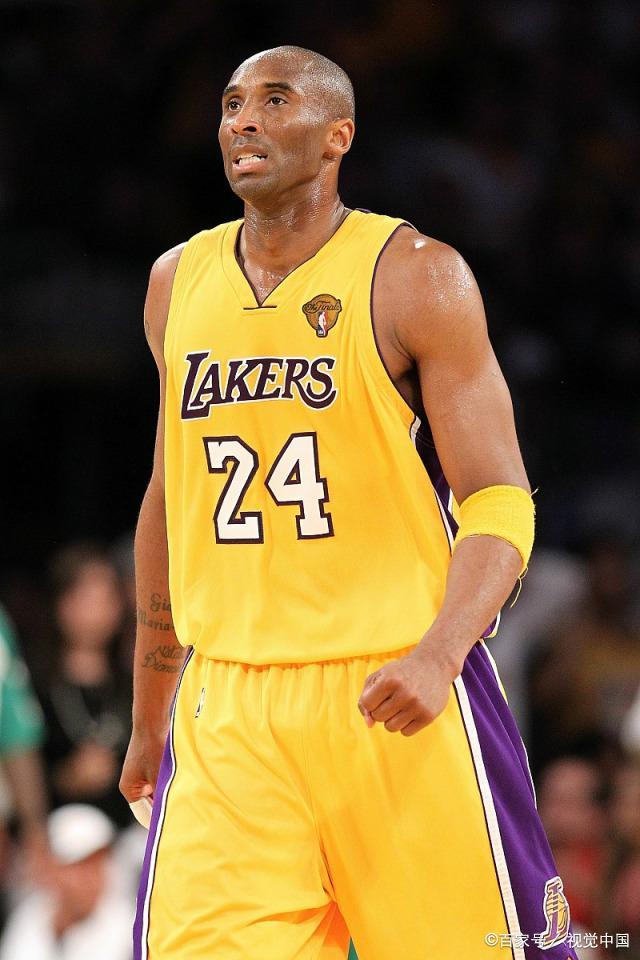 化与职责分 化与职责分